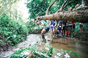 BIB: 
                            <button type="button" onclick="openModal(25471472)" class="btn btn-primary btn-sm float-right btn-popup" data-toggle="modal" data-target=".modal-high-quality">
                        <i class="fas fa-shopping-cart"></i> Add to Cart
                    </button>
                                            <button type="button" onclick="isThisMe(25471472, true)" class="btn btn-success btn-sm float-right btn-popup btn-isme hidden" data-toggle="tooltip" data-placement="bottom" title="นี่คือรูปของคุณใช่ไหม คลิกที่นี่เพื่อเอาเข้าอัลบั้ม">
                        <i class="fas fa-plus"></i> Add to album
                    </button>
                    <button type="button" onclick="isThisMe(25471472, false)" class="btn btn-warning btn-sm float-right btn-popup btn-isnotme hidden">
                        <i class="fas fa-ban"></i> Remove from album
                    </button>